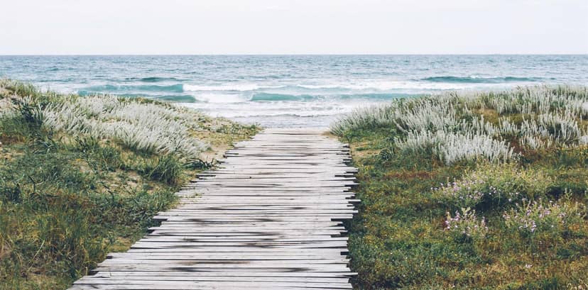 Unauth title dvFbuGNo